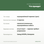 Фуксия Кустовая Southgate (срез/3шт) — что приедет