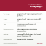 Фуксия Кустовая Tausendschon (0,1л) — что приедет