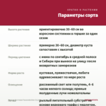 Фуксия Кустовая Tausendschon (0,1л) — параметры сорта
