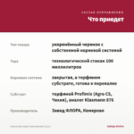 Фуксия Кустовая Tausendschon (0,1л) — что приедет