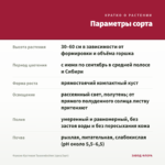Фуксия Кустовая Tausendschon (срез/3шт) — параметры сорта