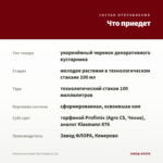 Фуксия Кустовая Tom Thumb (0,1л) — что приедет