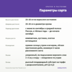 Фуксия Кустовая Tom Thumb (0,1л) — параметры сорта