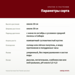 Фуксия Кустовая Tom Thumb (срез/3шт) — параметры сорта