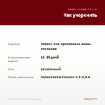 Фуксия Кустовая Tom Thumb (срез/3шт) — как укоренить черенок