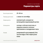 Фуксия Кустовая Tom Thumb (срез/3шт) — параметры сорта