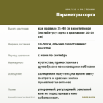 Фуксия Кустовая Tom West (0,1л) — параметры сорта