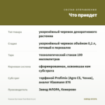 Фуксия Кустовая Tom West (0,1л) — что приедет