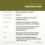 Фуксия Кустовая Tom West (0,1л) — параметры сорта