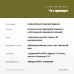 Фуксия Кустовая Tom West (0,1л) — что приедет