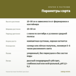 Фуксия Кустовая Tom West (срез/3шт) — параметры сорта