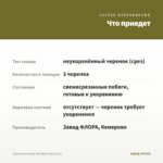 Фуксия Кустовая Tom West (срез/3шт) — что приедет