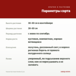 Фуксия Кустовая Voodoo (0,1л) — параметры сорта