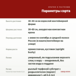Фуксия Кустовая Voodoo (0,1л) — параметры сорта