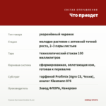 Фуксия Кустовая Voodoo (0,1л) — что приедет