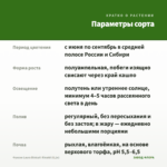 Фуксия Laura Biolcati-Rinaldi (0,1л) — параметры сорта