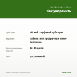 Фуксия Laura Biolcati-Rinaldi (срез/3шт) — как укоренить черенок
