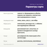 Фуксия Pinto de Blue (0,1л) — параметры сорта