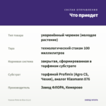 Фуксия Pinto de Blue (0,1л) — что приедет