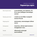 Фуксия Pinto de Blue (срез/3шт) — параметры сорта