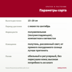 Фуксия Полуампельная Bella Lydia (0,1л) — параметры сорта