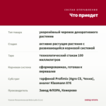Фуксия Полуампельная Bella Lydia (0,1л) — что приедет