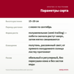 Фуксия Полуампельная Bella Lydia (срез/3шт) — параметры сорта