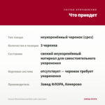 Фуксия Полуампельная Bella Lydia (срез/3шт) — что приедет