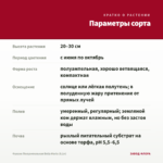 Фуксия Полуампельная Bella Maria (0,1л) — параметры сорта