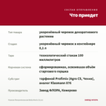 Фуксия Полуампельная Bella Maria (0,1л) — что приедет