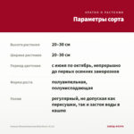 Фуксия Полуампельная Bella Maria (0,1л) — параметры сорта