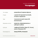 Фуксия Полуампельная Bella Maria (0,1л) — что приедет