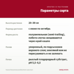 Фуксия Полуампельная Bella Maria (срез/3шт) — параметры сорта