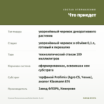 Фуксия Полуампельная Bella Natalie (0,1л) — что приедет