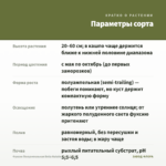Фуксия Полуампельная Bella Natalie (срез/3шт) — параметры сорта