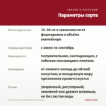 Фуксия Полуампельная Bella Rosella (0,1л) — параметры сорта
