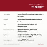 Фуксия Полуампельная Bella Rosella (0,1л) — что приедет