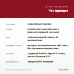 Фуксия Полуампельная Bella Rosella (0,1л) — что приедет