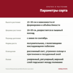 Фуксия Полуампельная Bella Rosella (срез/3шт) — параметры сорта