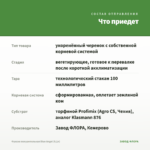 Фуксия полуампельная Blue Angel (0,1л) — что приедет