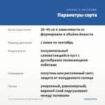Фуксия Полуампельная Blue Mirage (0,1л) — параметры сорта