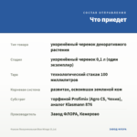 Фуксия Полуампельная Blue Mirage (0,1л) — что приедет