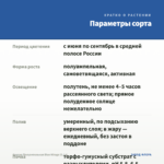 Фуксия Полуампельная Blue Mirage (0,1л) — параметры сорта