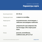 Фуксия Полуампельная Blue Mirage (срез/3шт) — параметры сорта