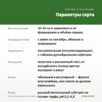 Фуксия Полуампельная Coen Bakker (0,1л) — параметры сорта
