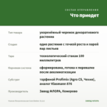 Фуксия Полуампельная Coen Bakker (0,1л) — что приедет