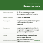 Фуксия Полуампельная Coen Bakker (срез/ 1шт) — параметры сорта