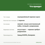Фуксия Полуампельная Coen Bakker (срез/ 1шт) — что приедет