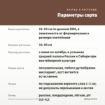 Фуксия полуампельная Fuchsia Pink Galore (0,1л) — параметры сорта
