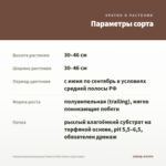 Фуксия полуампельная Fuchsia Pink Galore (срез/3шт) — параметры сорта